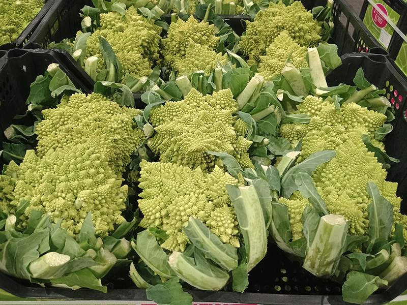 Cavolfiore romanesco - Lazio - 1,80/2,00 euro al chilogrammo